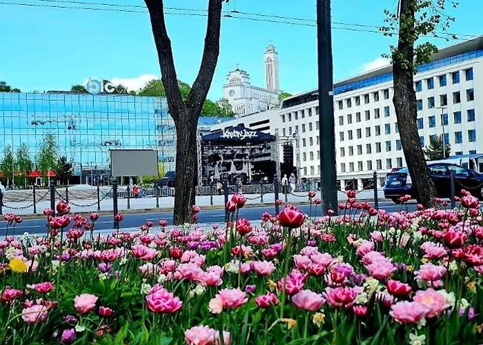 Radio Loft - 420 Appartement